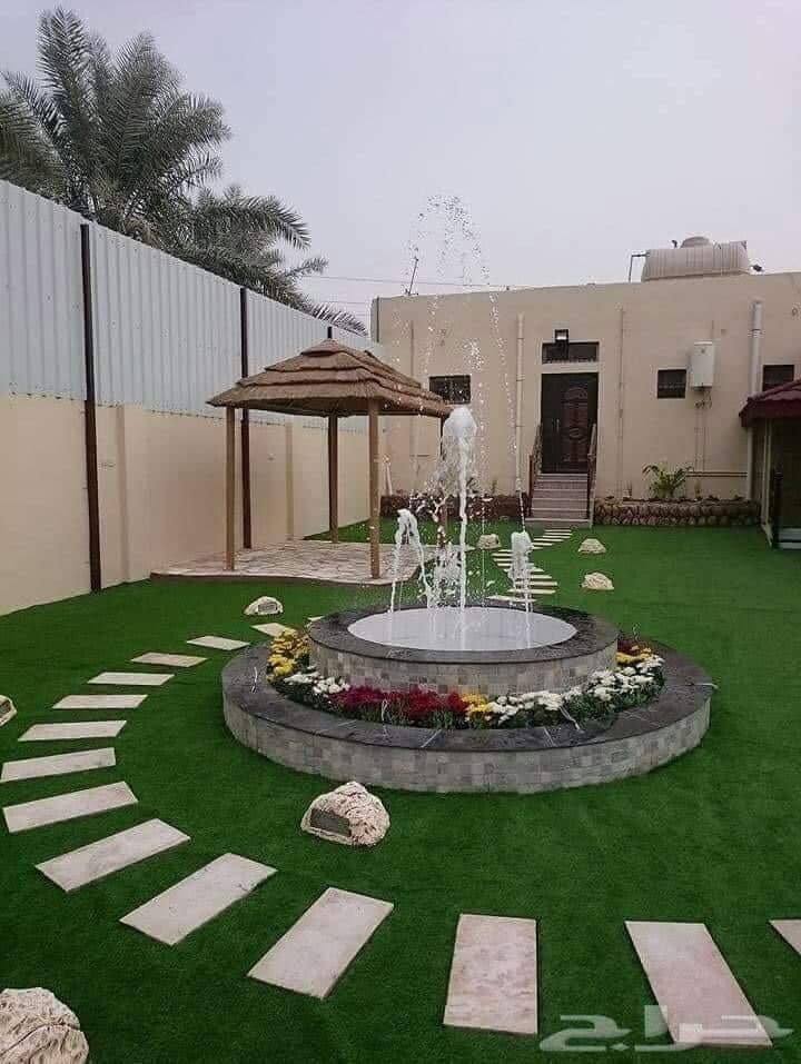 زين المصرى